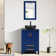 24 In. W X 19 In. D X 32 In. H Bath Vanity In Blue With Solid Surface Top In Blue