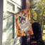 Chat en feuilles d'automne-112700505