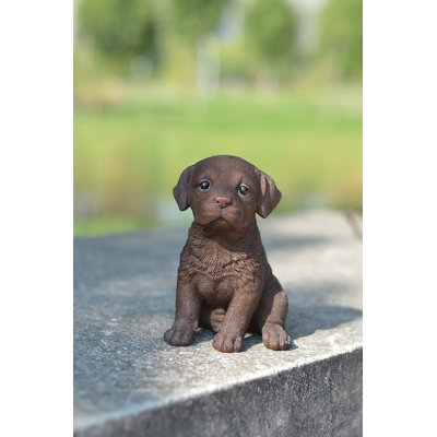 Statue de labrador chiot brun chocolat
