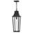 Hinkley Georgetown Hanging Lantern-108493386