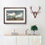 Ivory Gull by John Audubon - Framed Print-55576293-55576297
