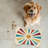 Retro Vibe Fall Rainbow - 1 Piece Bone Shape Feeding Mat