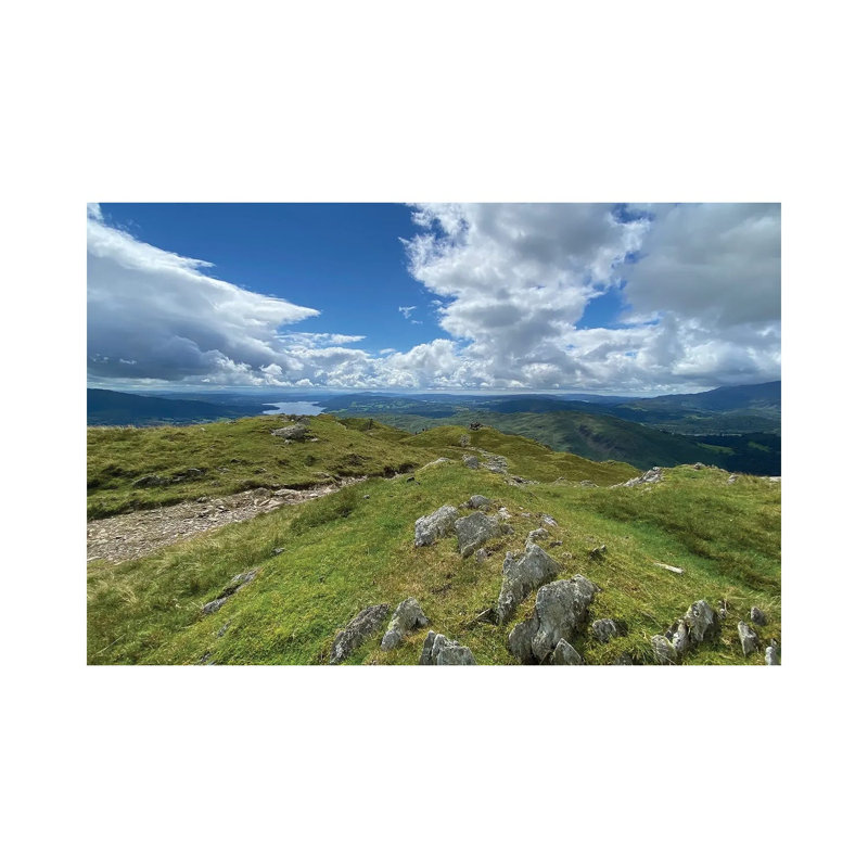 Highland Path Panel by Noah Bay - Wrapped Canvas Print, 20.32 cm H x 30.48 cm W