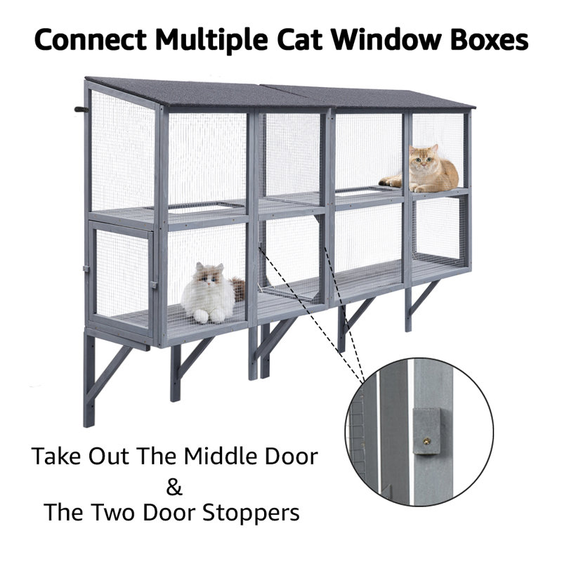 Boîte de fenêtre à 2 niveaux pour plusieurs chats d'intérieur