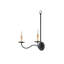 Saxon Double-Light Black Wall Sconce-1019814715