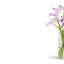 Dietrich RealTouch Calla Lily Arrangement-381559797