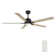 Clabo 60'' Ceiling Fan with LED Lights