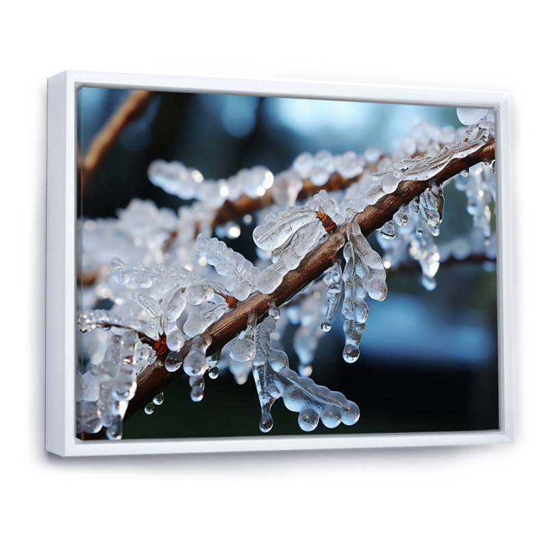 Arbre glacé en hiver IV - reproduction, Cadre flottant blanc, H 34 po x l 44 po x P 1,5 po