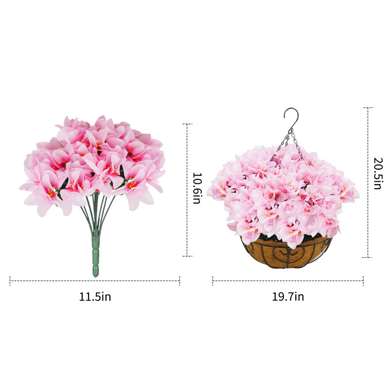 13.5cm Plant