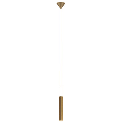 Luminaire suspendu à 1 lumière DEL Régionald