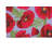 Poppie Soft Step Outdoor Area Rug-885686423-885686401