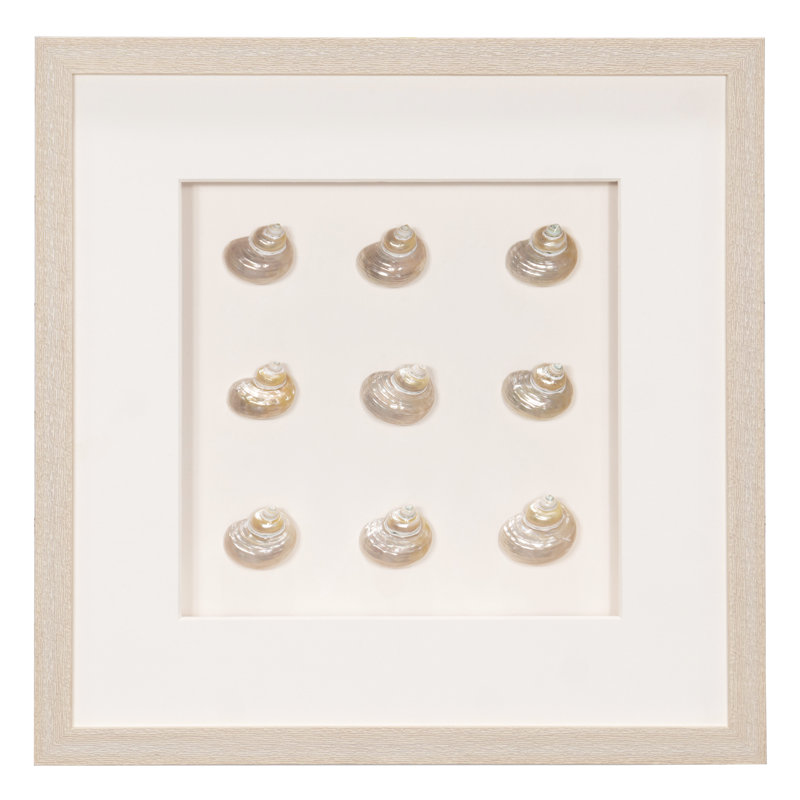 Décoration murale collection Seashell