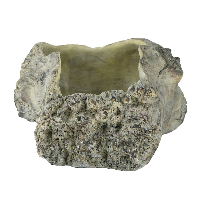 20x11x6.5" Haven Cement Planter, 6" H x 20" W x 11" D