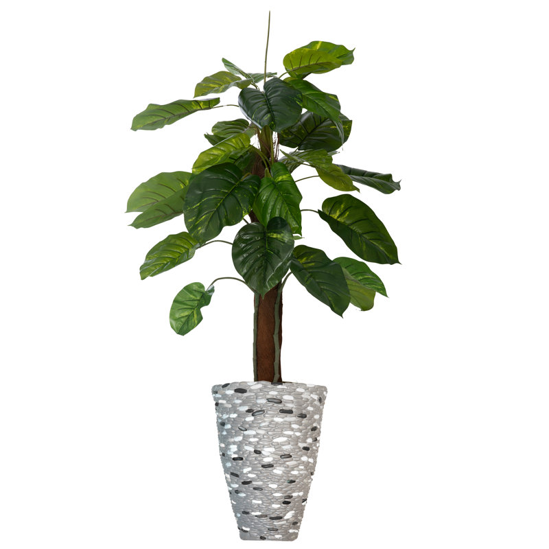 Panama 61" Artificial Tree in Planter