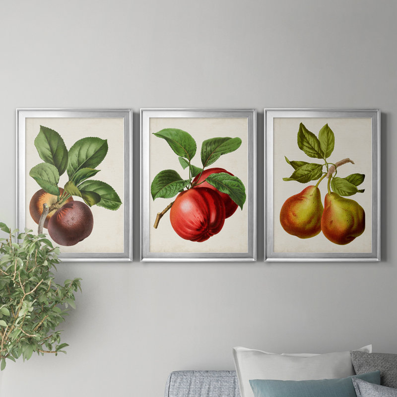 Antique Fruit IX - Ensemble de 3 impressions sur toile encadrées, Argent, H 22,5 po x l 91,5 po x P 1,5 po