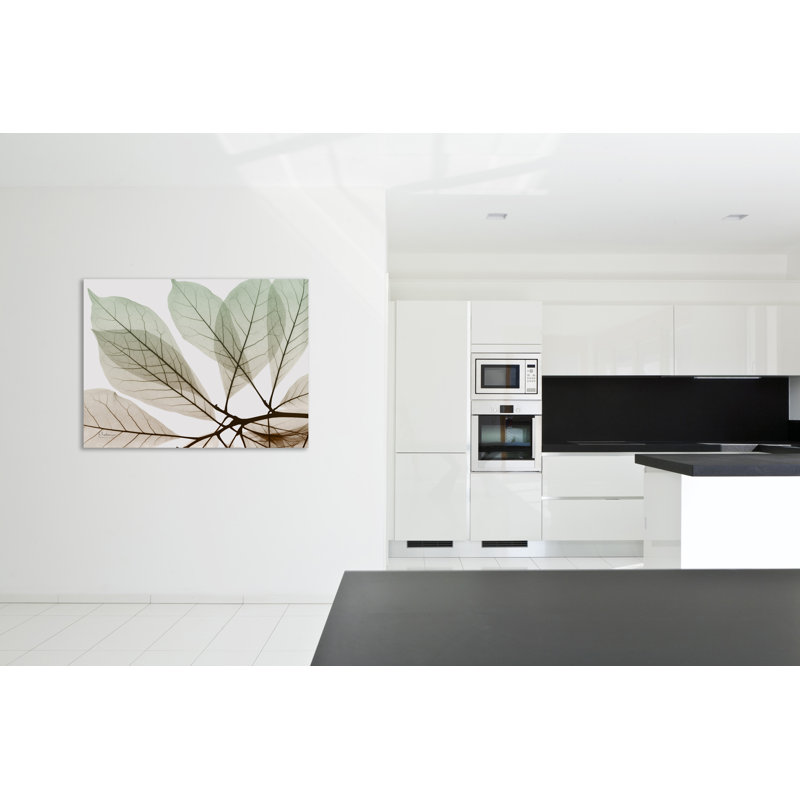 «Earthy Magnolia», toile tendue par Albert Koetsier, H 15 po x l 20 po x P 1,5 po