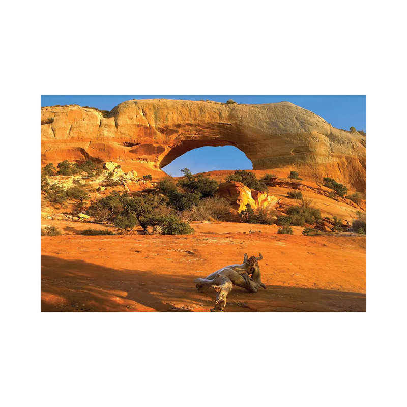Wilson Arch WithA Span Of 91 Feet And Height Of 46 Feet Off Highway 191 Made Of EntradaSandstone UT by Tim Fitzharris - Gallery-Wrapped Canvas Giclée on Canvas