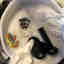 Customer photo 2 of 10