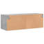 Bellburns Standard Accent Cabinet-1758871809