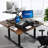 Height Adjustable Standing Desk Converter With Dual Gas Spring, Spacious Workstation For Dual Monitors And Laptops, Sturdy Sit To Stand Desk