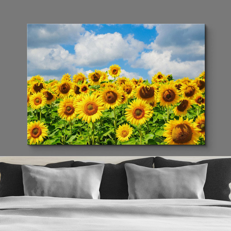 Sunflower " Cloudy Summer Sunflower Field ", 16'' H x 24'' W