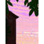 September 6 A.M Print by Evan Sklar-65852787-65827776