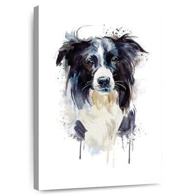 Border Collie Dog Splash