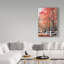 « automne rouges iv », photographie sur toile-32716160