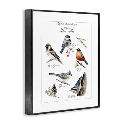 Carte des oiseaux nord-américains, art giclée par Heather Desormeaux