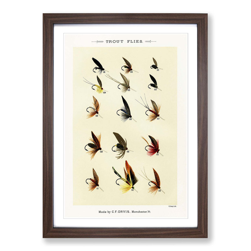 Trout Fishing Flies Version 4 by Mary Orvis Marbury - Picture Frame Painting Print, Walnut, 60cm H x 40cm W x 2cm D