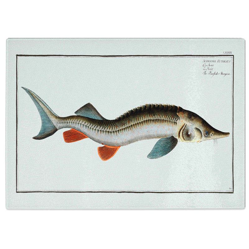 Tempered Glass Rusfish-Sturgeon Fish by M.E. Bloch Chopping Board, 39 cm W x 28.5 cm L
