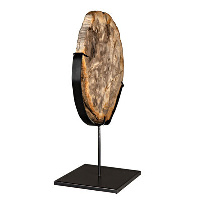 Fossil With Stand Sculpture