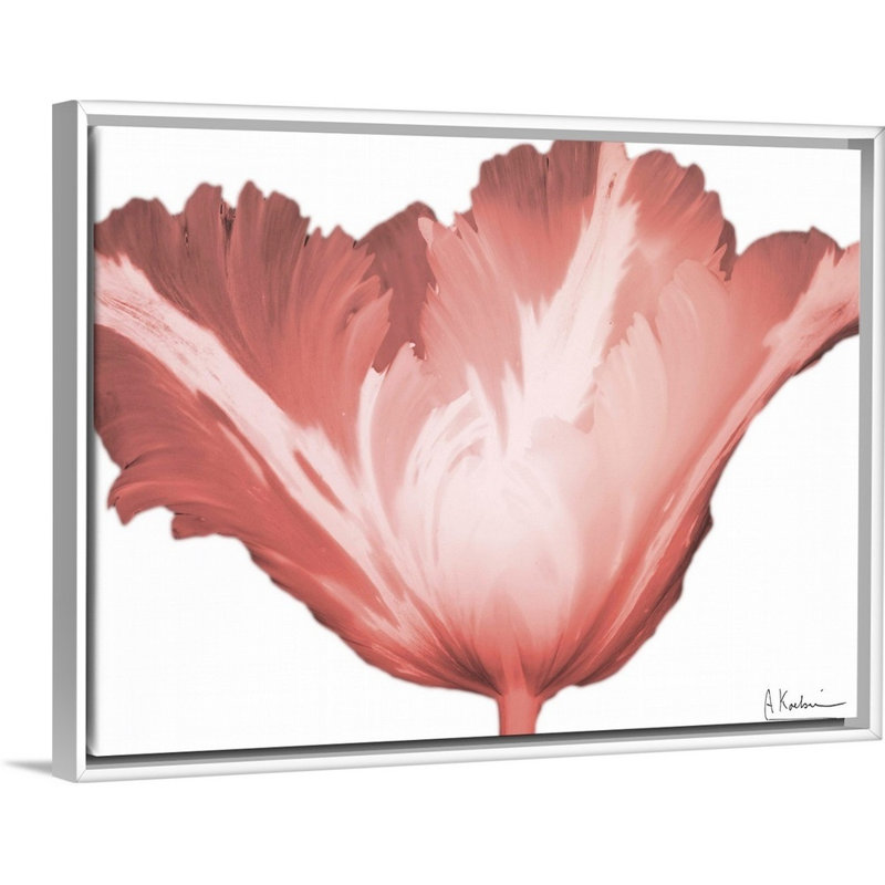 "Coral Blossom 1" par Albert Koetsier, reproduction d’art sur toile, H 32 po x l 42 po x P 1,75 po, Toile blanche encadrée