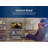 24" Class HD LED TV