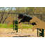 Pollitt Rover Pen-906885954