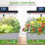 Jardin hydroponique d'intérieur pour jardin avec lumière de croissance 24W et trousse de démarrage pour graines Verdehome