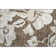 Premium Machine Washable Prisco Brown Rug