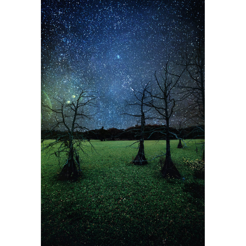 Rokas Kingdom Of Cypress - Wrapped Canvas Print, 46cm H x 30cm W x 3.8cm D