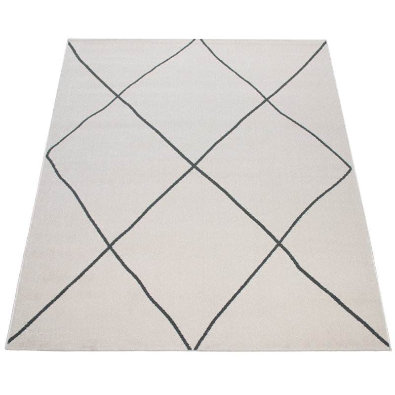 Manlius Moroccan Area Rug, Rectangle 60 x 100cm