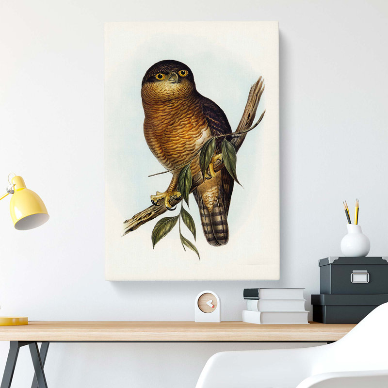 Rufous Owl by Elizabeth Gould - Wrapped Canvas Print, 76cm H x 50cm W x 3cm D