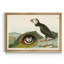 Macareux moine - reproduction d'art sur toile-1808881374-1808881373