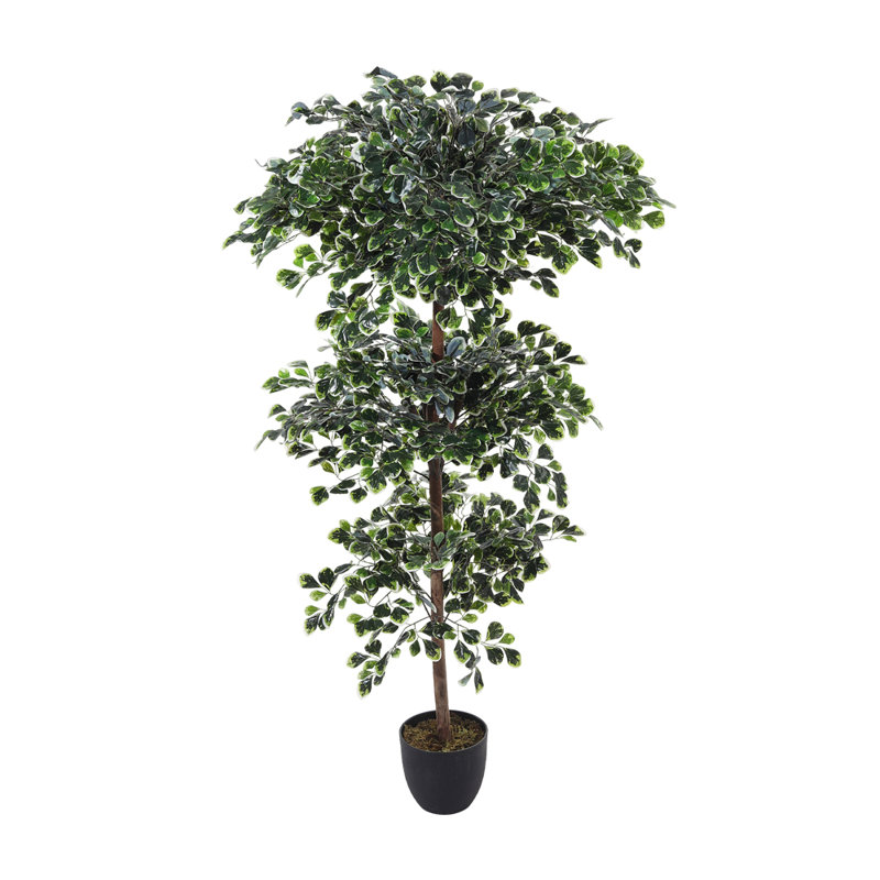 185cm Faux Zamioculcas Tree in Freestanding