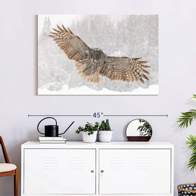 Brampt Blizzard Owl