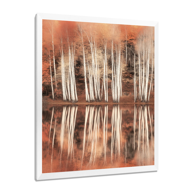 Lac de bouleaux brun orange à l'automne II - Tableau encadré, H 20 po x l 12 po, White Picture Framed