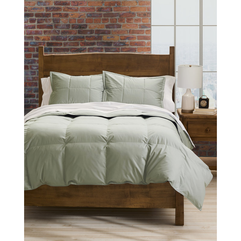 Cuddledown Chroma Down Comforter, Meadow, King Comforter, All Season