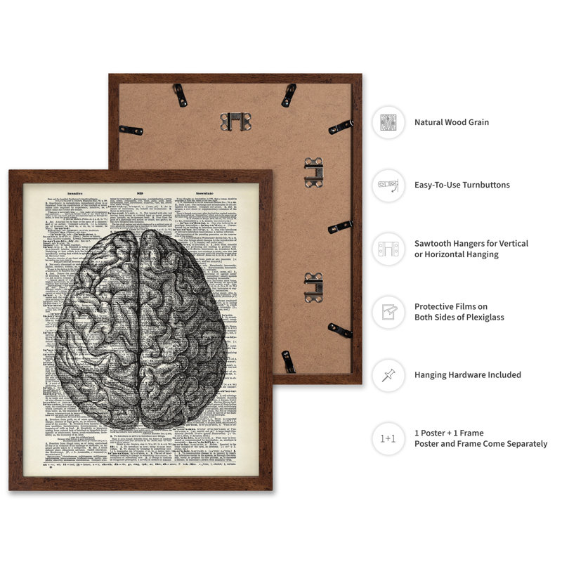 Cerveau humain, Poster, 16"H x 20"W, Brown Framed