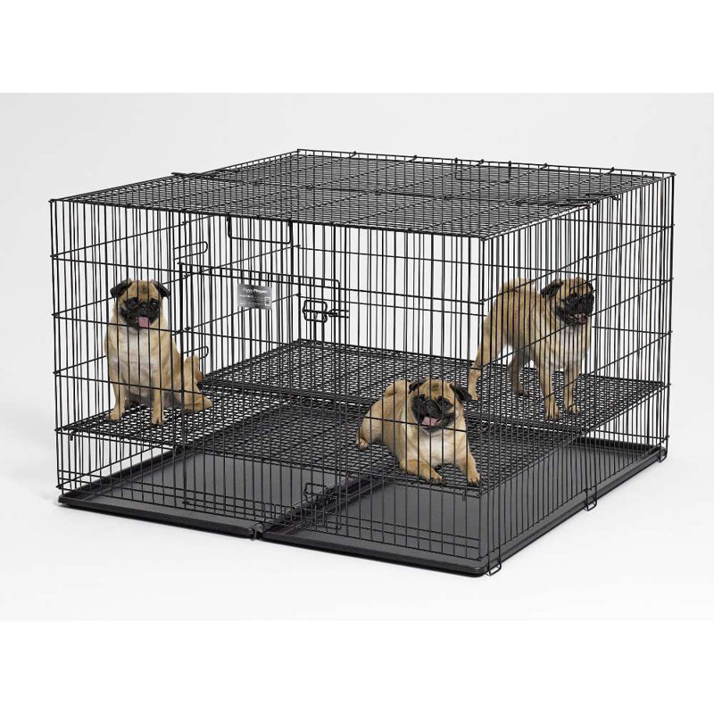 Chenil en plastique pour chiot, Grand (H 30 po x l 48 po x P 48 po), Plan de disposition 1 po
