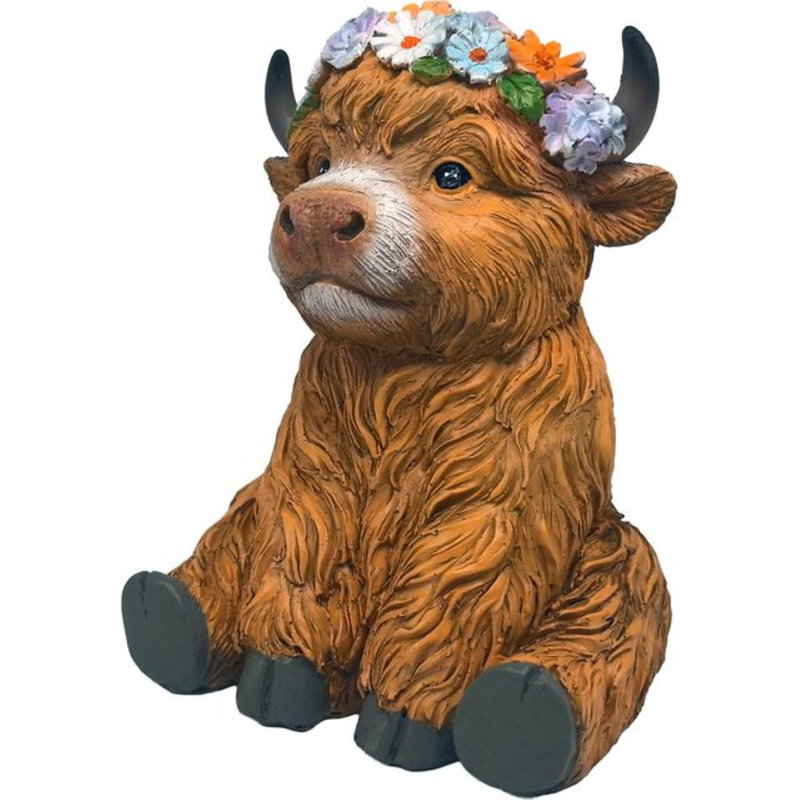 Highland Cow
