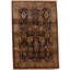 Wool Oriental Area Rug