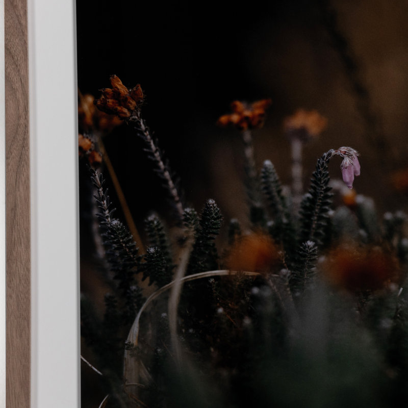 First Bloom Print by Annie Spratt, 32" H x 24" W x 2.5" D